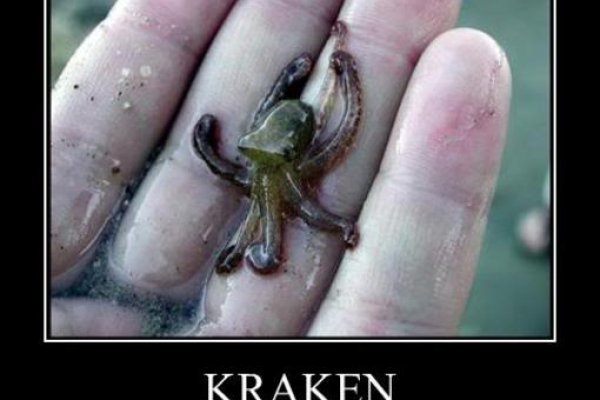 Kraken 14at