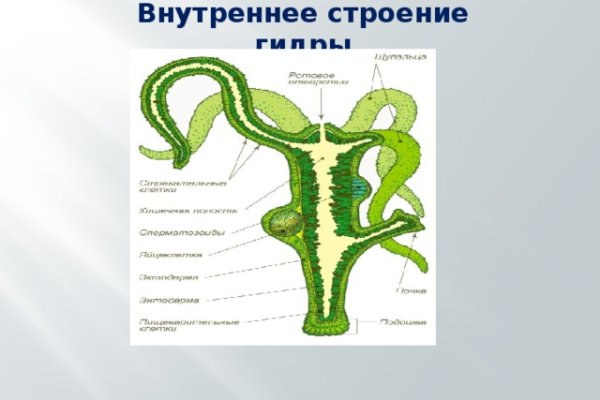 Кракен нар шоп