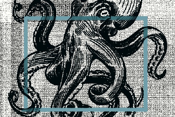 Kraken hydra