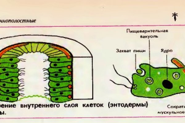 Ссылка на кракен официальный сайт