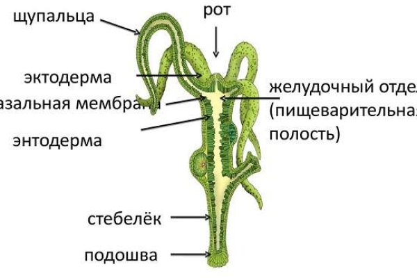 Kraken шоп что это