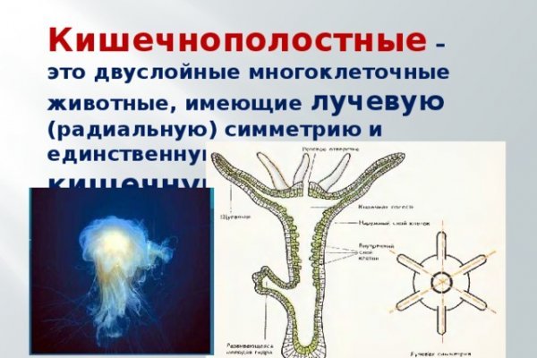 Реальная ссылка кракен
