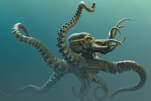 Kraken com login